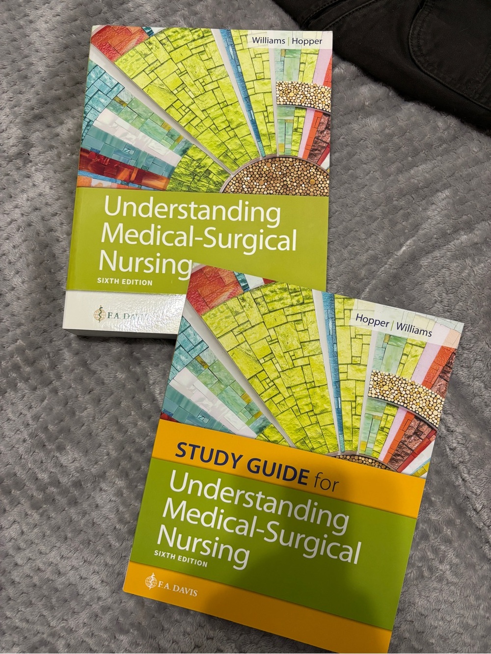 Understanding Medical-Surgical Nursing (Green) by - Sixth Edition